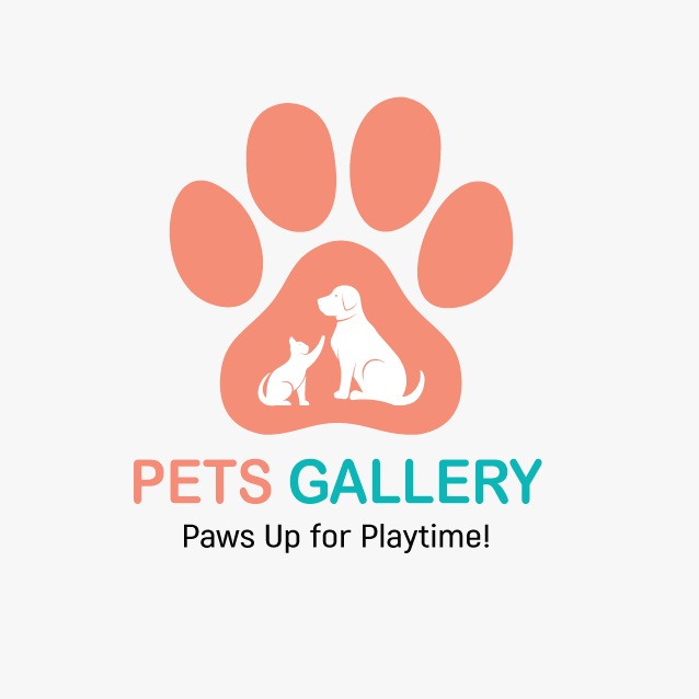 WhatsApp Image 2025 07 27 at 17.54.07